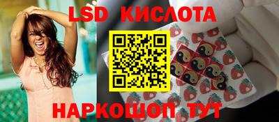 гашик Малгобек