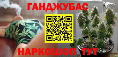 гашик Малгобек