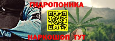 прущие грибы Мариинск