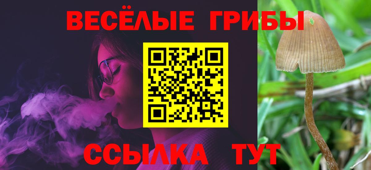 цена наркотик  Вход с VPN  Псилоцибиновые грибы Psilocybine cubensis  Добрянка  Псилоцибиновые грибы мицелий 